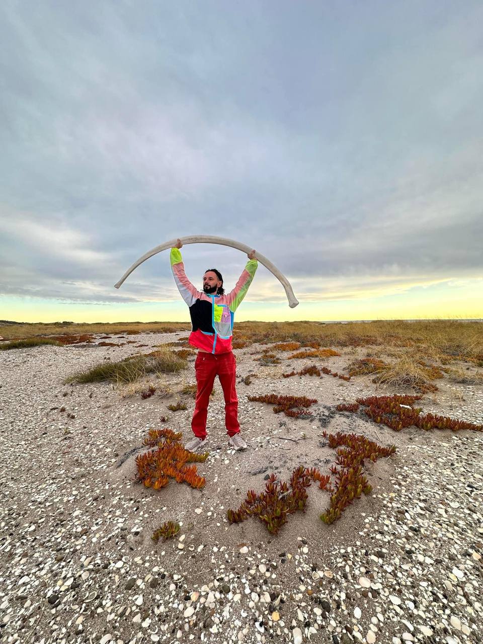 Valdés Peninsula: A Road Trip to Argentina's Whales