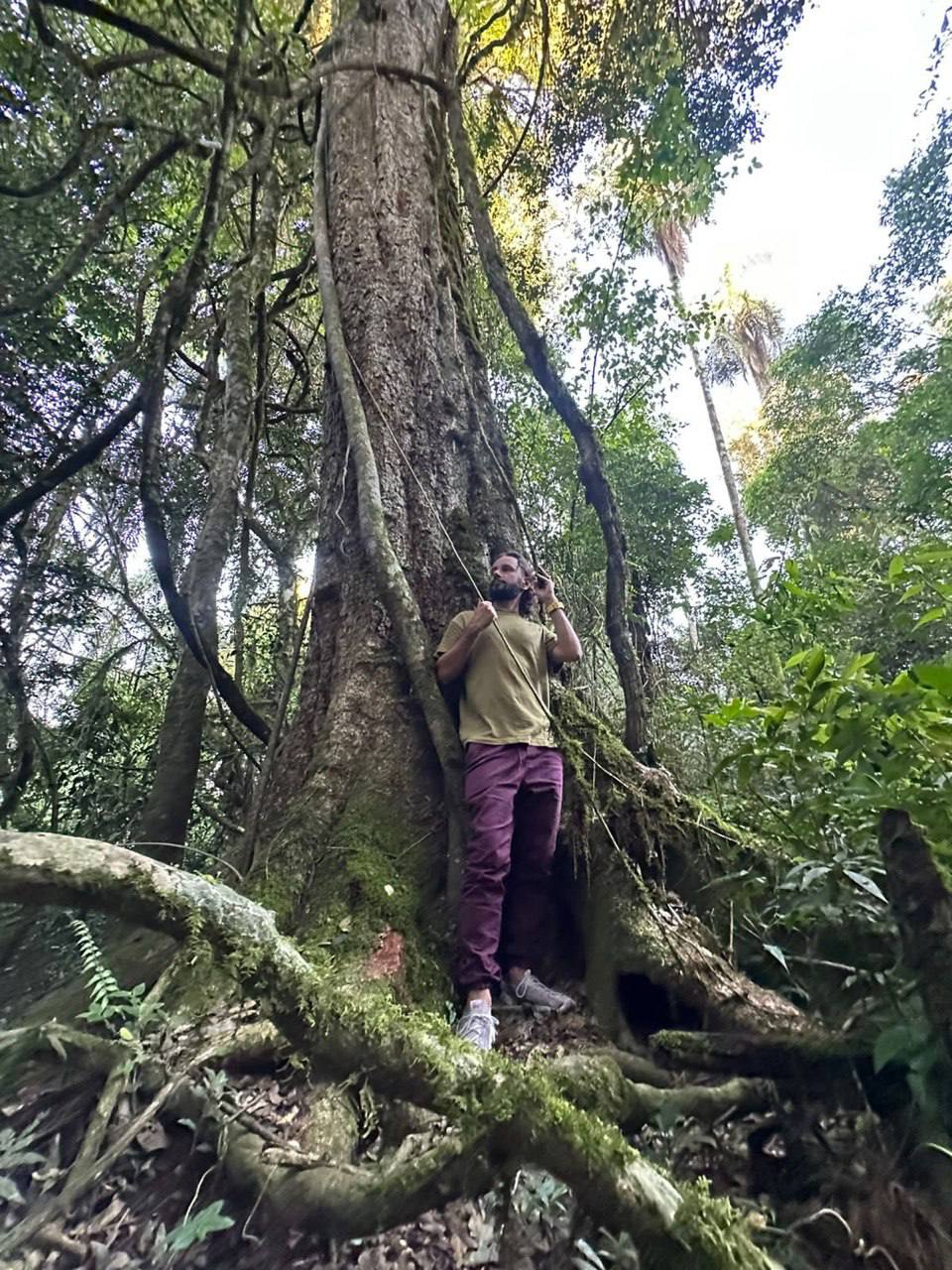 The Amazon Doesn't Submit. You Negotiate With It.